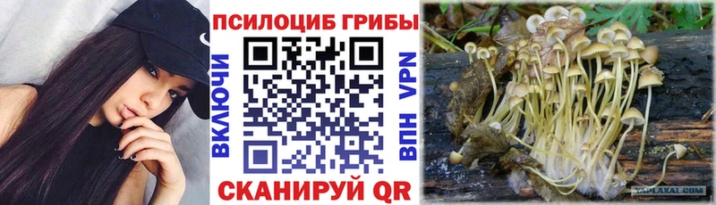ссылка на мегу вход Железноводск Галлюциногенные грибы GOLDEN TEACHER
